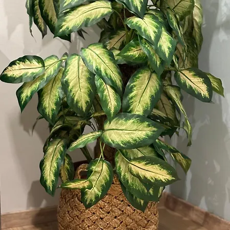 Dell'arte - Metro Linea A